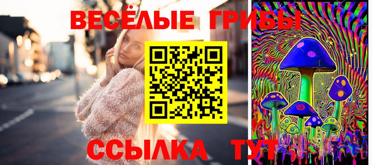 Галлюциногенные грибы GOLDEN TEACHER  Вход с VPN  Псилоцибиновые грибы Psilocybe  Каменка 