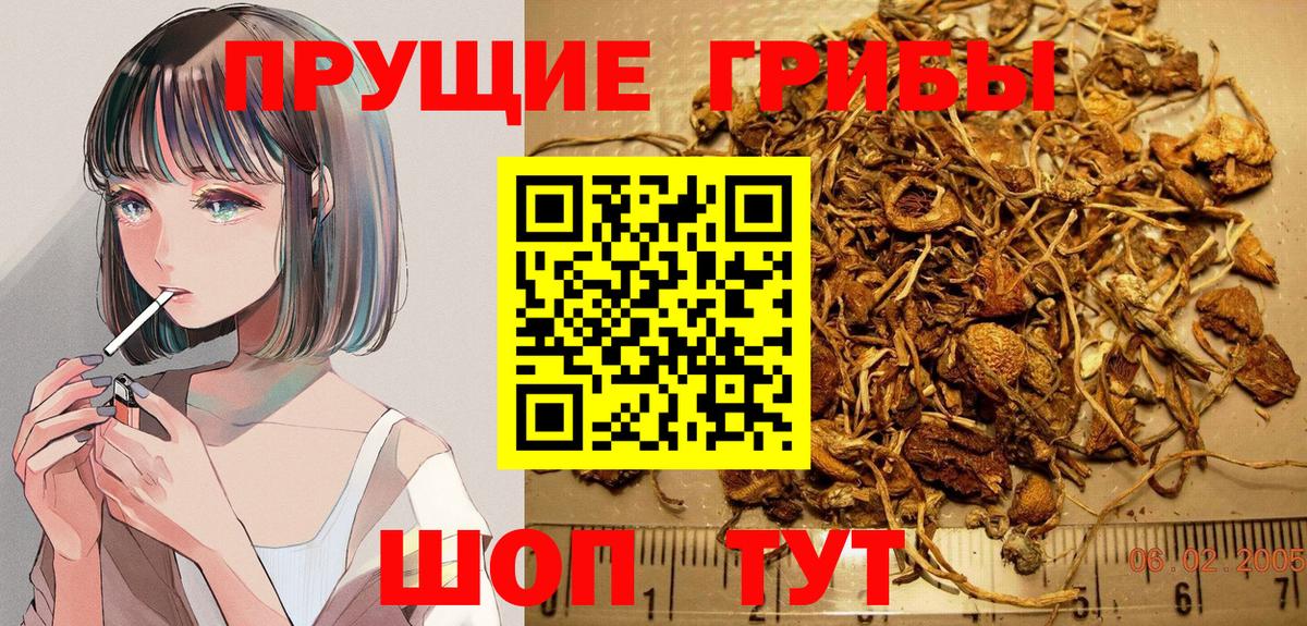 Псилоцибиновые грибы прущие грибы Каменка